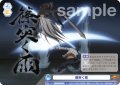 篠突く雨[WSB_RBN/01B-068N]