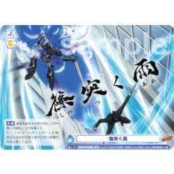 画像2: 【BR仕様(N)】篠突く雨[WSB_RBN/01B-068B]