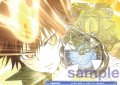 箔押しコレクションカード[WSB_RBN/01S]【家庭教師ヒットマンREBORN!収録】