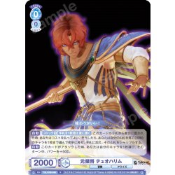 画像1: 元領将 テュオハリム[WSB_TAL/01B-049R]