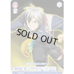 画像1: 兄を捜す弟 ルドガー・ウィル・クルスニク[WSB_TAL/01S-014SD]