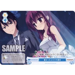 画像1: 重なったふたりの運命[WSR_OS01/R01-T20TD]