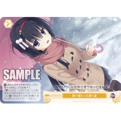 画像1: 【SR仕様(C)】降り積もった通り道[WSR_OS01/R01-025S]