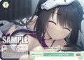 【SR仕様(C)】二人だけの秘密の特訓[WSR_OS01/R01-048S]