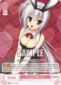 カジノのお仕事 エリナ[WSR_OS01/R01-066C]