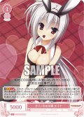 【SR仕様(C)】カジノのお仕事 エリナ[WSR_OS01/R01-066S]