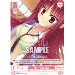 画像1: 曝された柔肌 美羽[WSR_OS01/R01-067C]