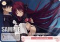 【SR仕様(C)】ふたりで守った未来[WSR_OS01/R01-073S]