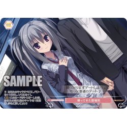 画像1: 【フレームレス仕様】帰ってきた居場所[WSR_OS01/R01-P09PR]