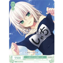 画像1: こぼれそうな水着 シャチ[WSR_OS03/R03-044C]