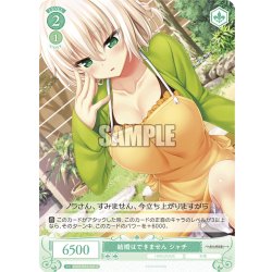 画像1: 結婚はできません シャチ[WSR_OS03/R03-047C]