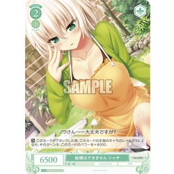 画像1: 【SR仕様(C)】結婚はできません シャチ[WSR_OS03/R03-047S]