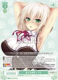 豊かな感情 シャチ[WSR_OS03/R03-049C]