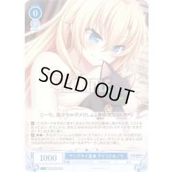 画像1: 【SR仕様(C)】アンクライ温泉 アイリス＆ノラ[WSR_OS03/R03-086S]