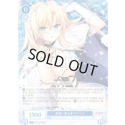 画像1: 【SR仕様(C)】真夏に降る雪 アイリス[WSR_OS03/R03-087S]