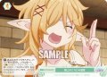 極上のとろける感覚[WSR_OS04/R04-050C]