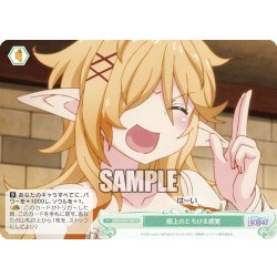 画像1: 極上のとろける感覚[WSR_OS04/R04-050C]