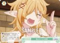 【SR仕様(C)】極上のとろける感覚[WSR_OS04/R04-050S]