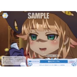 画像1: 【SR仕様(C)】優れたサンプル[WSR_OS04/R04-100S]
