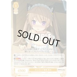 画像1: がんばる子猫様 真白[WSR_OS05/R05-002RR]