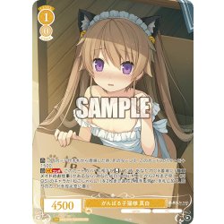 画像1: 【OFR仕様(RR)】がんばる子猫様 真白[WSR_OS05/R05-002OFR]