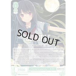 画像1: - Fly me to your sky ! - みさき[WSR_OS05/R05-032R]