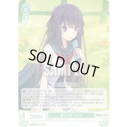 画像1: 翼の休息 みさき[WSR_OS05/R05-036C]