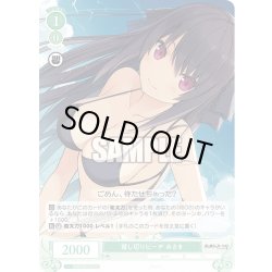 画像1: 貸し切りビーチ みさき[WSR_OS05/R05-037C]