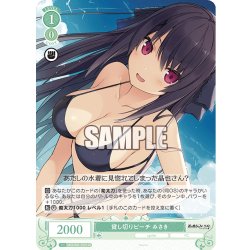 画像1: 【SR仕様(C)】貸し切りビーチ みさき[WSR_OS05/R05-037S]