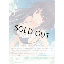 画像1: 【SR仕様(C)】貸し切りビーチ みさき[WSR_OS05/R05-037S]