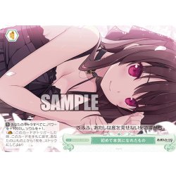 画像1: 【SR仕様(C)】初めて本気になれたもの[WSR_OS05/R05-049S]