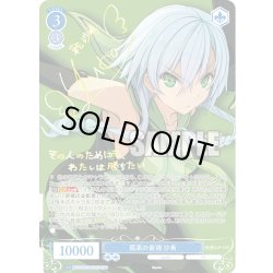 画像1: 【SP仕様(R)】孤高の最強 沙希[WSR_OS05/R05-083SP]