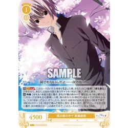 画像1: 櫻の森の中で 草薙直哉[WSR_OS06/R06-002RR]