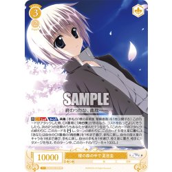 画像1: 櫻の森の中で 夏目圭[WSR_OS06/R06-004RR]