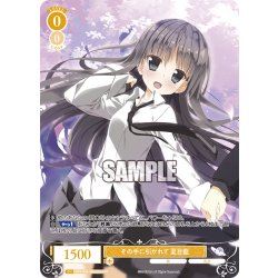 画像1: 【OFR仕様(R)】その手に引かれて 夏目藍[WSR_OS06/R06-007OFR]