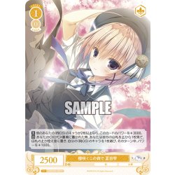 画像1: 櫻咲くこの森で 夏目雫[WSR_OS06/R06-009R]