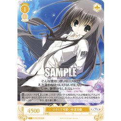 画像1: 小さくて可愛い姉 夏目藍[WSR_OS06/R06-017C]