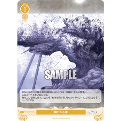 画像1: 【SR仕様(C)】横たわる櫻[WSR_OS06/R06-022S]