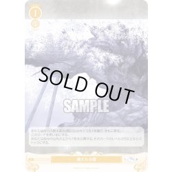 画像1: 【SR仕様(C)】横たわる櫻[WSR_OS06/R06-022S]