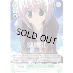 画像1: 桜舞う春の空 夏目圭[WSR_OS06/R06-044C]