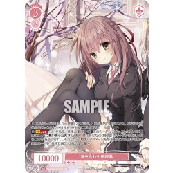 画像1: 【OFR仕様(RR)】背中合わせ 御桜稟[WSR_OS06/R06-053OFR]