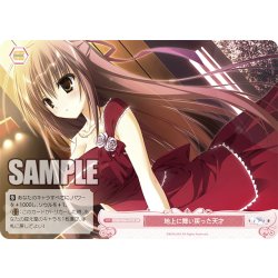 画像1: 【SR仕様(C)】地上に舞い戻った天才[WSR_OS06/R06-073S]