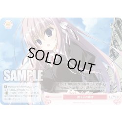 画像1: 教え子の膝枕[WSR_OS06/R06-075C]