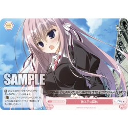 画像1: 【SR仕様(C)】教え子の膝枕[WSR_OS06/R06-075S]