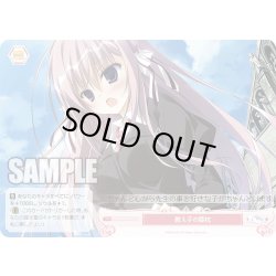 画像1: 【SR仕様(C)】教え子の膝枕[WSR_OS06/R06-075S]