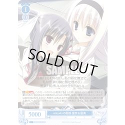 画像1: winwinの関係 優美＆里奈[WSR_OS06/R06-077RR]