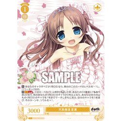 画像1: 天真爛漫 夏葉[WSR_OS07/R07-002RR]