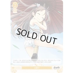 画像1: 【SR仕様(C)】山遊び[WSR_OS07/R07-023S]