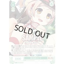 画像1: 【SR仕様(C)】森の散策 れいな[WSR_OS07/R07-035S]