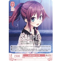 画像1: 【SR仕様(C)】夜道の散歩 日々姫[WSR_OS07/R07-062S]